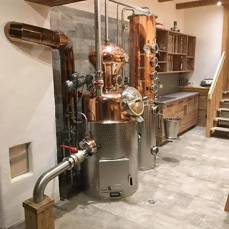 Bauernhof Hinterfirst شقة