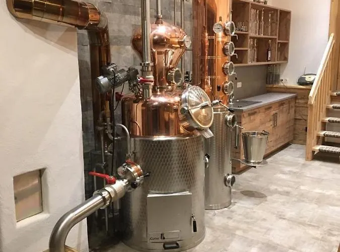 Bauernhof Hinterfirst 公寓