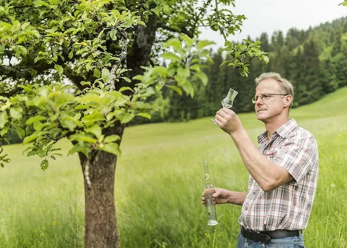 Bauernhof Hinterfirst דירה *