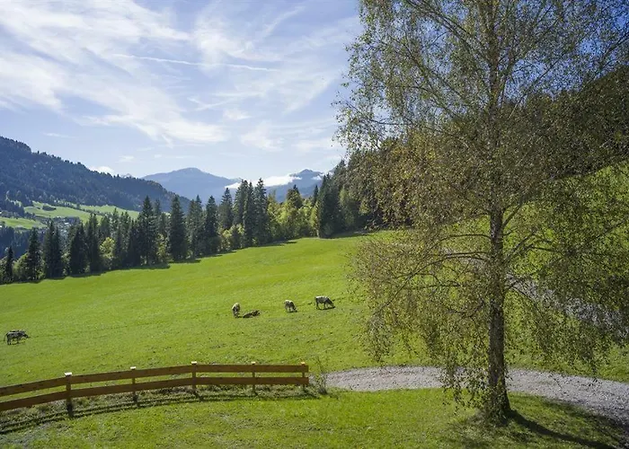 公寓 Bauernhof Hinterfirst *